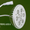 La tecnología de iluminación LED de Trigasia amplía hasta 50 veces la vida útil de las bombillas