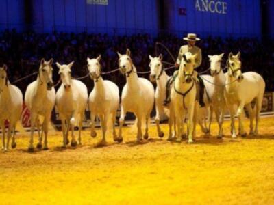 Carmen Martínez Bordiú inaugura el salón del caballo en Sevilla