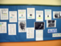 Una pared con carteles informativos sobre la violencia y la paz, incluyendo imágenes de Mahatma Gandhi y otros líderes.