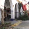Medio Ambiente poda las yedras y buganvillas de la Plaza de Abastos para la reparación posterior de la cubierta(Chipiona) 