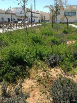 Fotografía de un entorno urbano con vegetación en primer plano. En el fondo, edificios blancos y un cartel de alquiler con la dirección "DUPLEX DESDE 197.000 €". La imagen muestra un área con vegetación y una valla de madera.