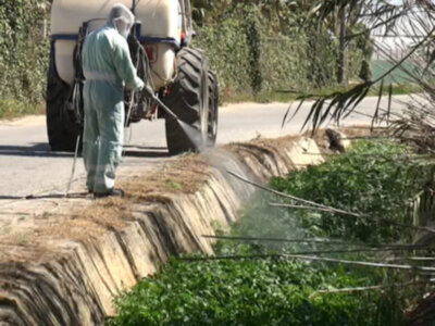 Agricultura comienza la campaña de limpieza de arroyos y cunetas(Chipiona)