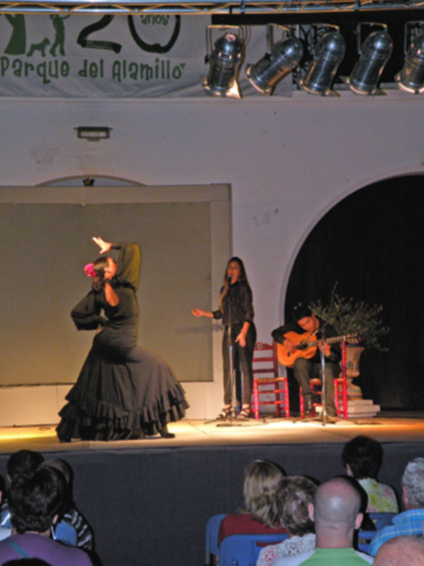 Sevilla.  Flamenco en el parque del Alamillo.