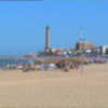Los profesionales de playas y medioambiente recuerdan que se debe limitar la presencia de animales(Chipiona) 