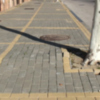 Chipiona solicitará en los planes provinciales 2015 al arreglo de las calles Clavel y Fragata y el acerado de La Laguna. 