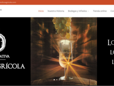 Católico Agrícola es una bodega cooperativa que ofrece vinos auténticos y originales. Su sitio web presenta un diseño moderno con imágenes de uvas y copas de vino, enfatizando su compromiso con la calidad y autenticidad en cada botella.