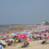 El retraso de las contrataciones por parte de Caepionis para el refuerzo en playas ha demostrado la falta de previsión del PP, suponiendo muchas molestias y pérdidas de jornadas de trabajo para los inscritos en las bolsas de empleo.(Chipiona)
