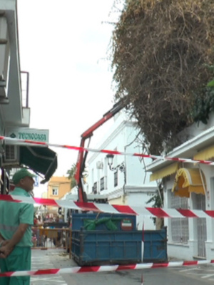 Un trabajador de construcción usa un carretilla para mover una caja grande en el centro de la imagen. La escena está rodeada por edificios con ventanas y balcones, con un árbol grande en el fondo. La cinta de seguridad roja y blanca indica que la zona está cerrada o en proceso de limpieza.