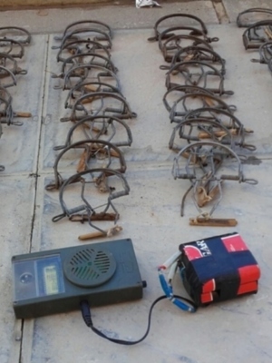 La colaboración ciudadana propicia un nuevo golpe de Policía Local y Guardería Rural a la caza ilegal de aves insectívoras(Chipiona)