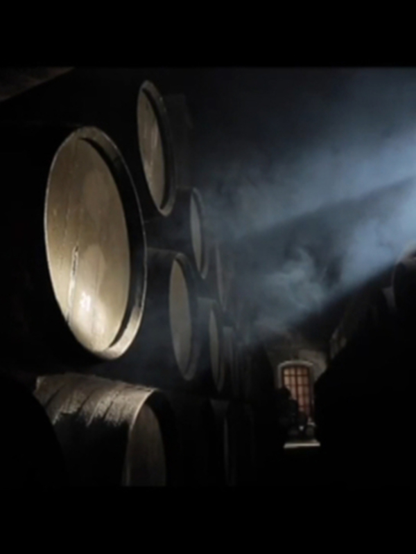 La Ruta del Vino y Brandy edita una guía de los recursos enoturísticos del Marco de Jerez 