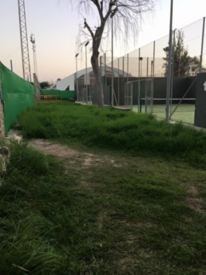 Área deportiva con césped y malla de seguridad al atardecer.