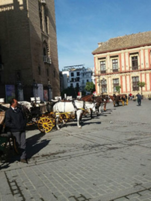 El atentado de París afecta al turismo de Sevilla.