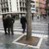 Barreras arquitectónicas y alcorques en la vía pública.