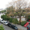 Las Melias en las calles de Sevilla