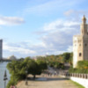 Parques y jardines de Sevilla y participación ciudadana.