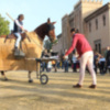 Toreo en la Calle regresa en la Plaza de España