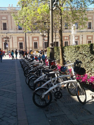 La  seguridad y vigilancia de los parques públicos de Sevilla