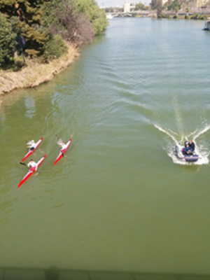 Los remeros del Guadalquivir