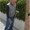 El CANS informa de la recuperación de una culebra, una tortuga mediterránea y un ave rapaz