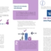 Onda Local de Andalucía inicia la campaña Activa tus sentidos para prevenir y concienciar a los jóvenes sobre drogodependencias y adicciones
