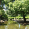 El estanque de Los Lotos en el Parque de María Luisa de Sevilla