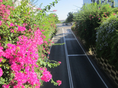 Sevilla, Américo Vespucio 2016 (Ronda de la Exposición en 1992).