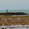 Chipiona será sede de una jornada para la sostenibilidad de la pesca costera y artesanal