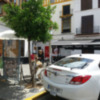 Arboles en peligro