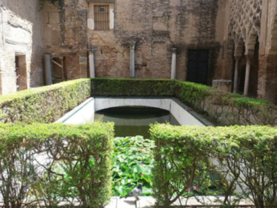 La sanidad en estanques y lagos