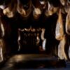 La Bodega Cinco Jotas se afianza como un lugar de visita imprescindible del sur de la Península