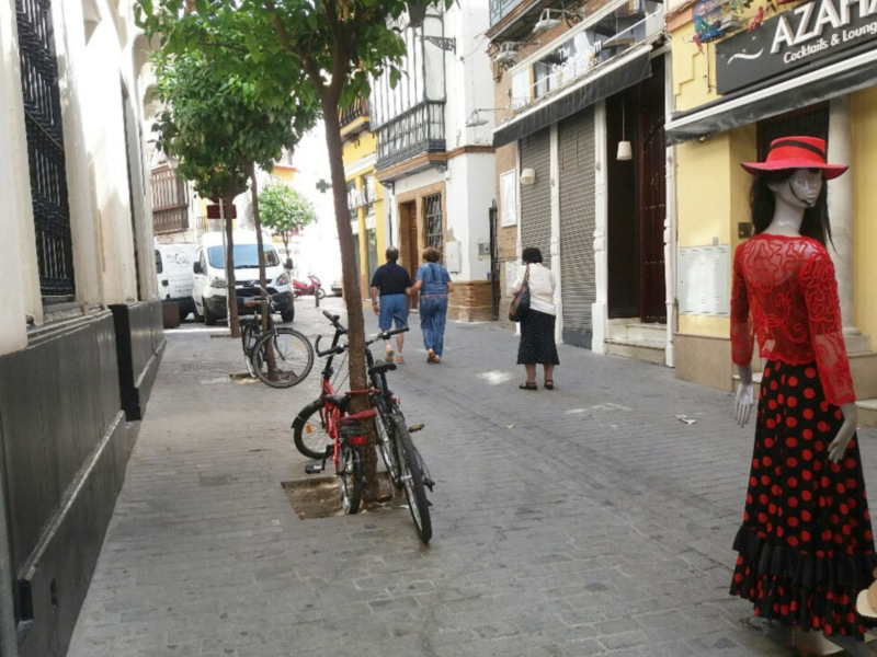 El arbolado urbano objeto de maltrato