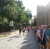 Embellecimiento del centro histórico de Sevilla