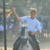 La Fiesta de la Palmicha se celebrará el domingo 25 septiembre