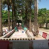 Actuaciones de mejora y limpieza en los Jardines de la Buhaira