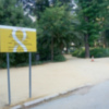 Mejora y reparación de los caminos del Parque María Luisa