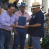 Buen tiempo en una Fiesta de la Palmicha que homenajeaba a la peña Las yeguas