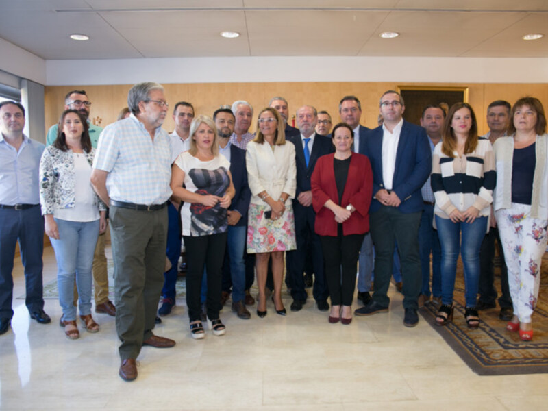 Las Diputaciones de Cádiz y Sevilla y Ayuntamientos piden mejoras en la conexión por carretera entre ambas provincias