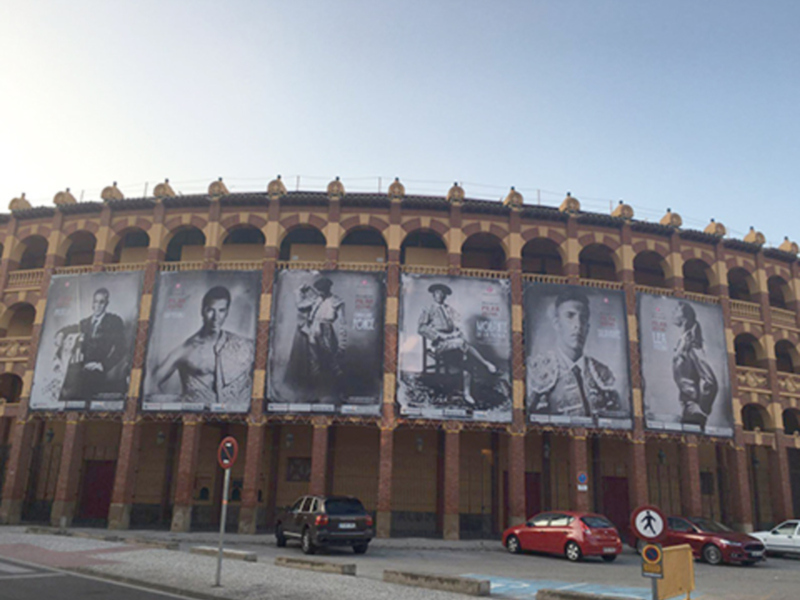 La campaña "Alquimia y Oro" inunda las calles de Zaragoza