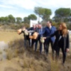 Heineken España y la Junta de Andalucía inician las actuaciones para restaurar humedales en Doñana.
