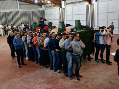 Ensayo de los portadores del palio de la Hermandad de la Vera-cruz de Alcalá del Río.