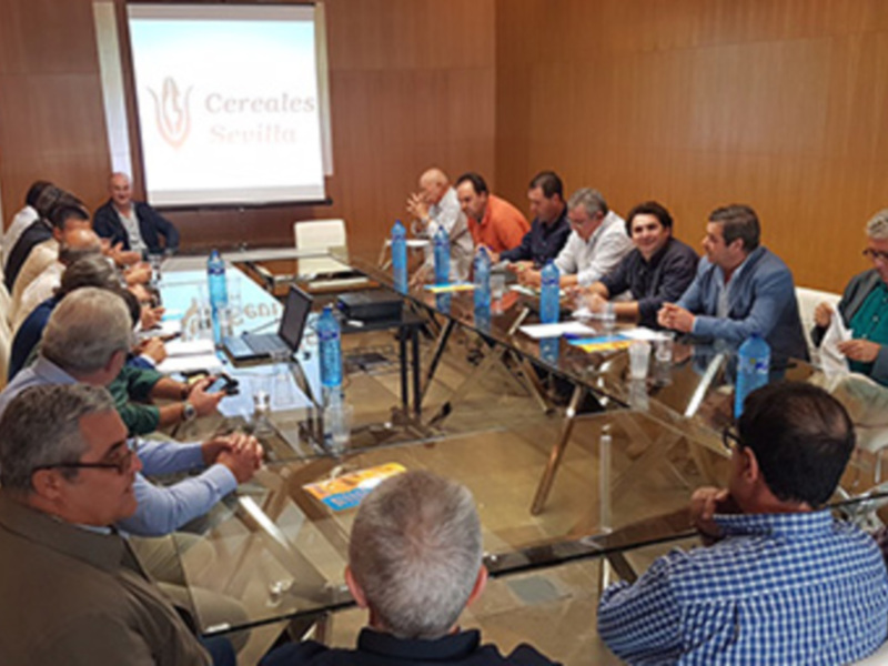 Cocereales celebra este viernes en Caja Rural del Sur su XXX Aniversario abordando los temas que más preocupan a todo el sector