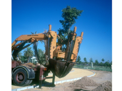 Una máquina de construcción amarilla está trabajando en una zona de tierra, con un árbol grande y verdes palmeras al fondo. El cielo es azul claro, indicando buen tiempo.