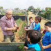 Primavera escolar en los huertos urbanos