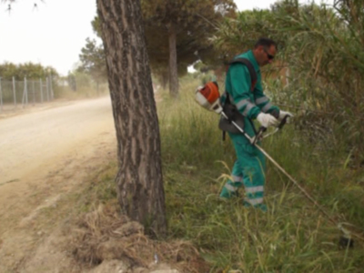 Un trabajador de mantenimiento corta ramas con una motosierra en un camino rural. La escena muestra la importancia de la conservación y el cuidado del entorno natural.