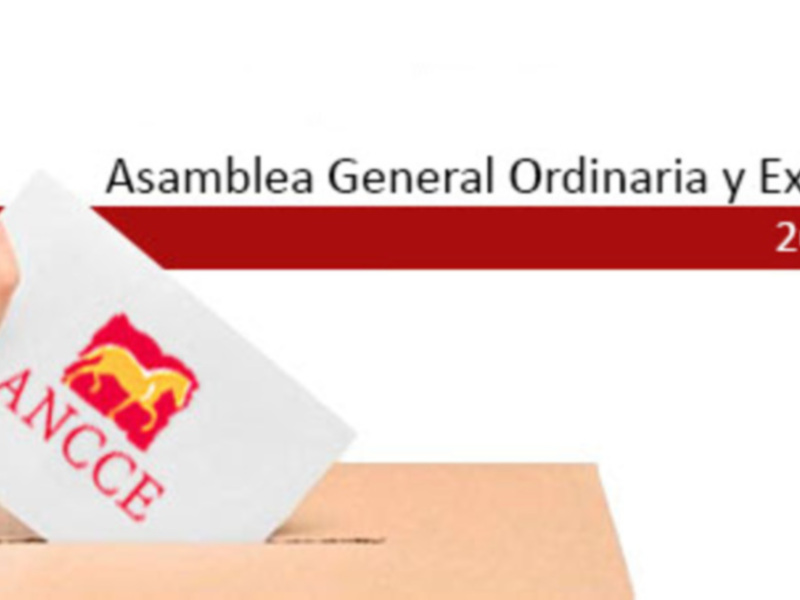 José Juan Morales Fernández, elegido nuevo presidente de ANCCE