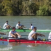 La Regata Sevilla-Betis de remo presume de mundialistas