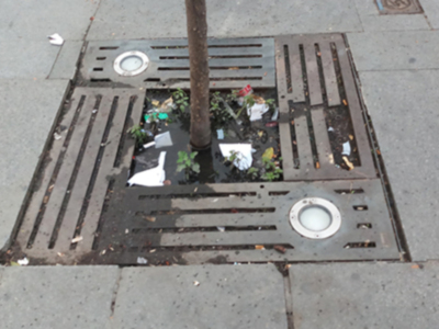 Cubierta de alcantarillado con basura acumulada y vegetación creciendo en su interior.