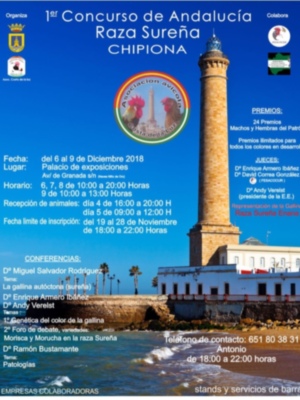 Chipiona acogerá en el puente de la Constitución el primer concurso andaluz de gallina de raza sureña