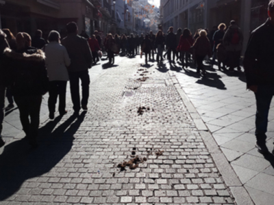 Una larga fila de personas caminando en una calle adoquinada, con sombras proyectadas por las luces del sol. Algunos están de espaldas, otros mirando hacia adelante. La imagen transmite una sensación de expectativa o espera.