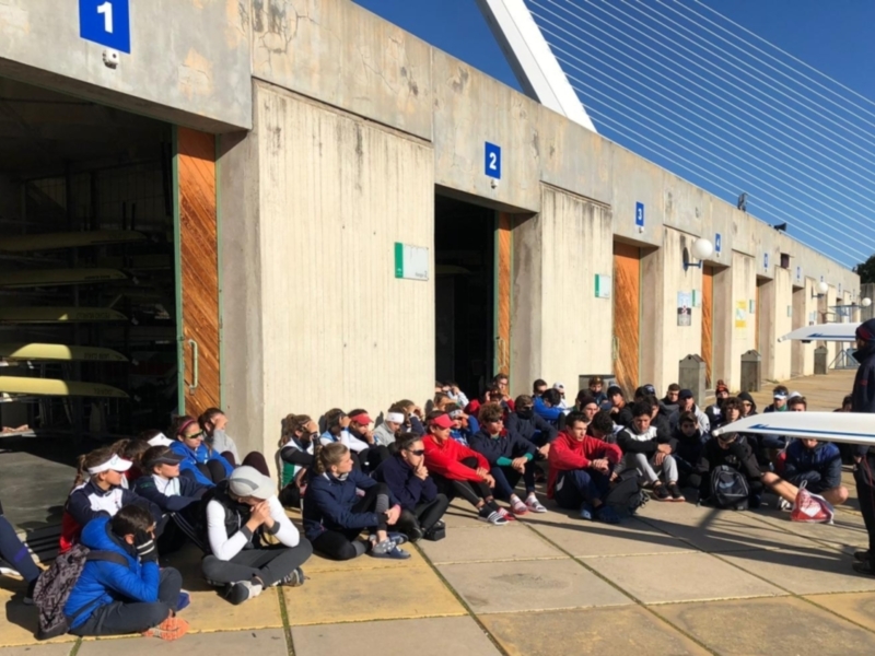 Una imagen de una granja con varios animales, incluyendo vacas y cabras, en un entorno rural. La escena muestra una variedad de animales pastando y jugando en un campo abierto. La granja tiene una estructura de madera y tierra, con cielo azul claro en el fondo.